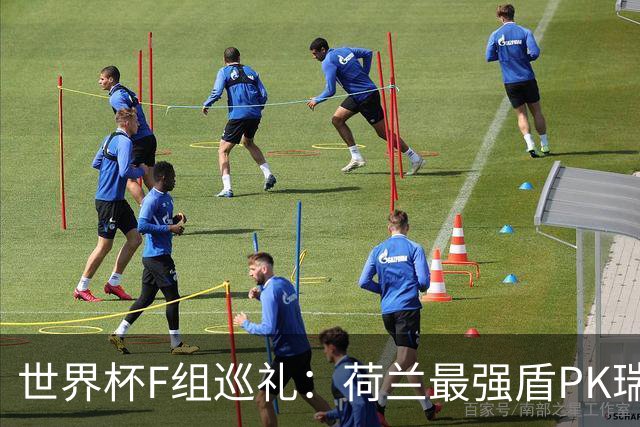 世界杯F组巡礼：荷兰最强盾PK瑞典犀利刀 日本短板明显