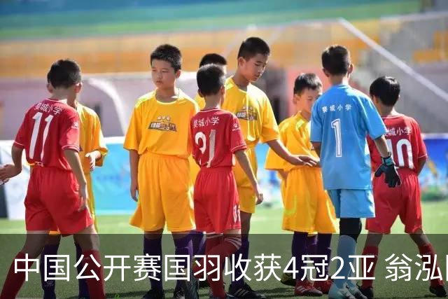 中国公开赛国羽收获4冠2亚 翁泓阳李罗组合首夺冠